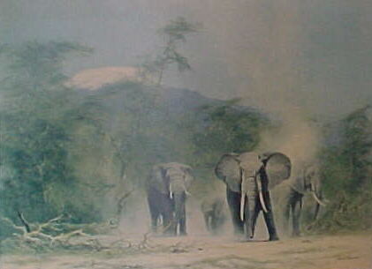 david shepherd  lords of the jungle print,faded