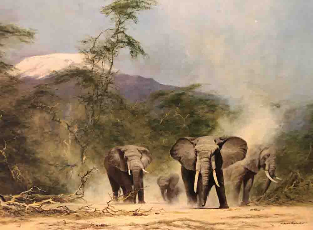 david shepherd  lords of the jungle print