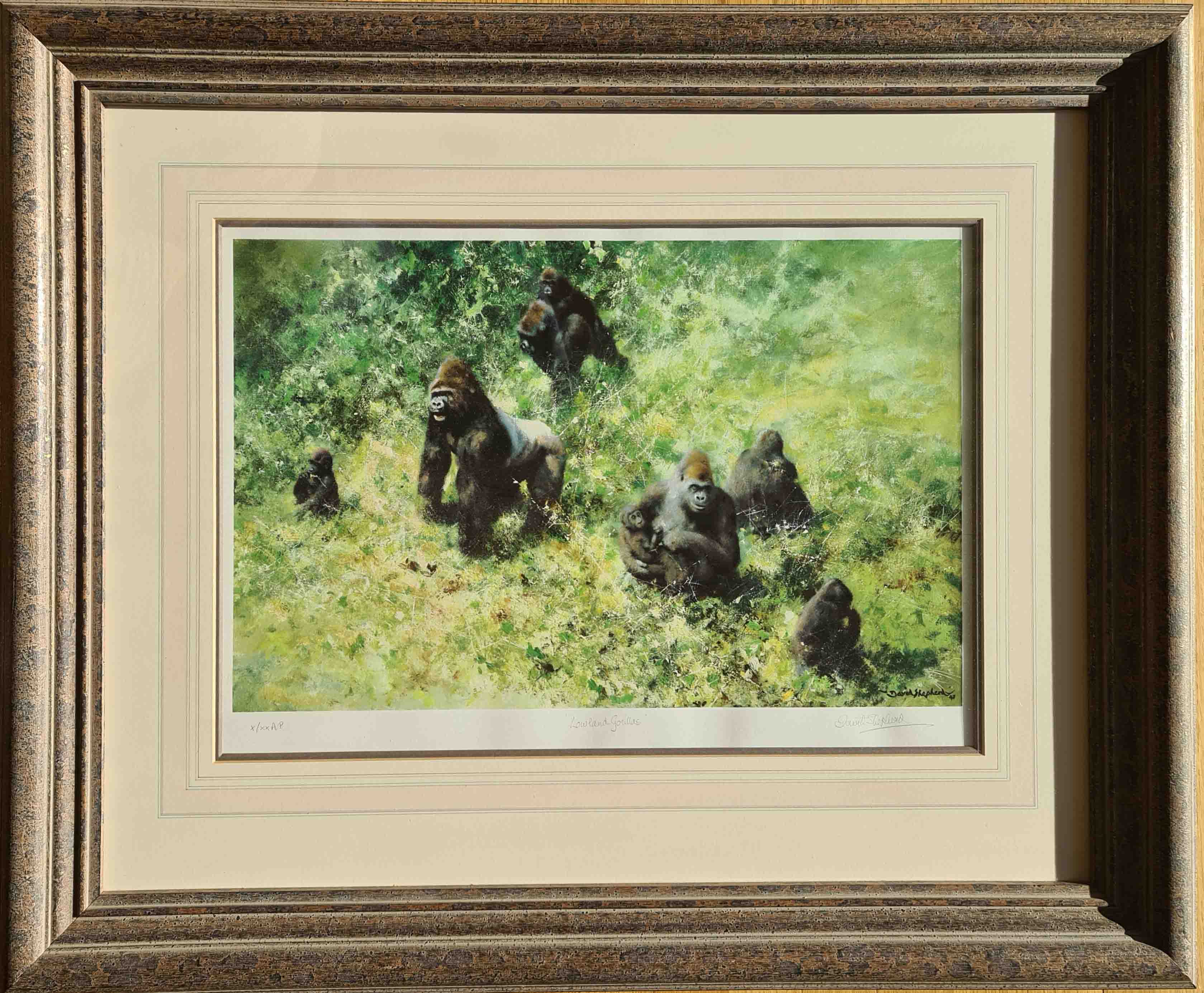 david shepherd lowland gorillas