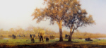 david shepherd luangwa evening elephants print