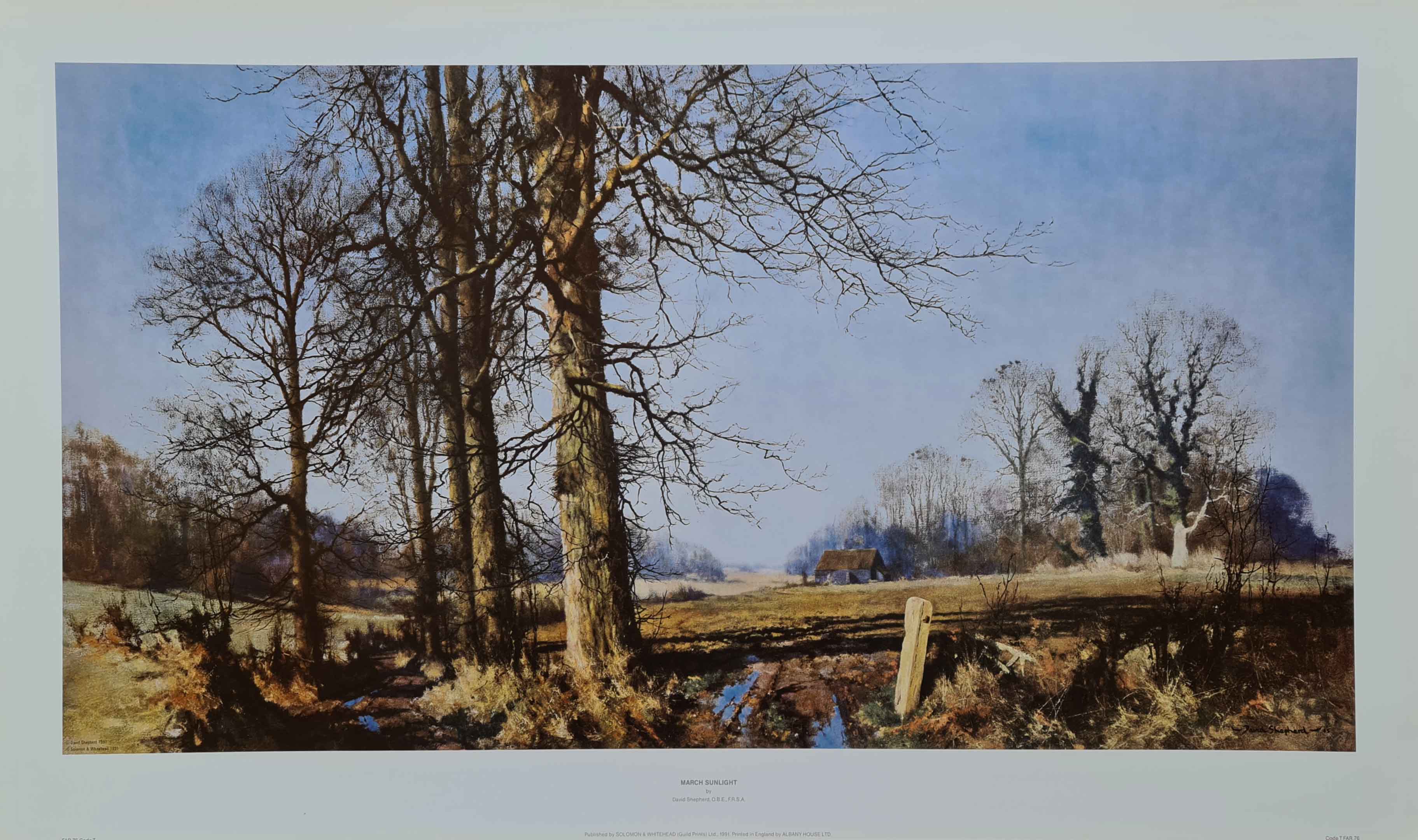 david shepherd March sunlight print