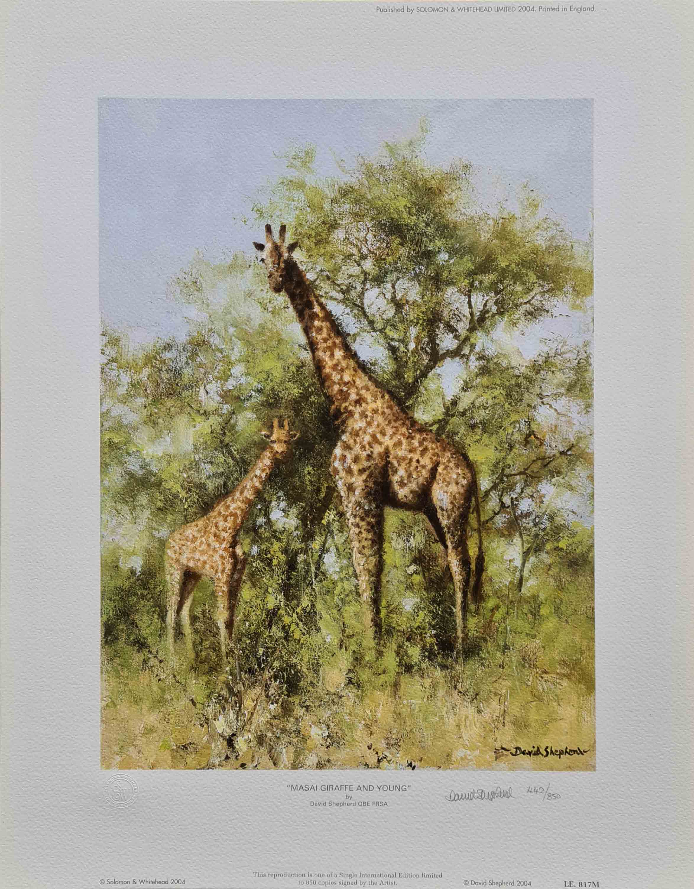 david shepherd,  masai giraffe and young