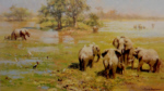 david shepherd mother's meeting elephants print