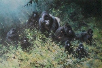 david shepherd gorillas prints david shepherd gorillas prints