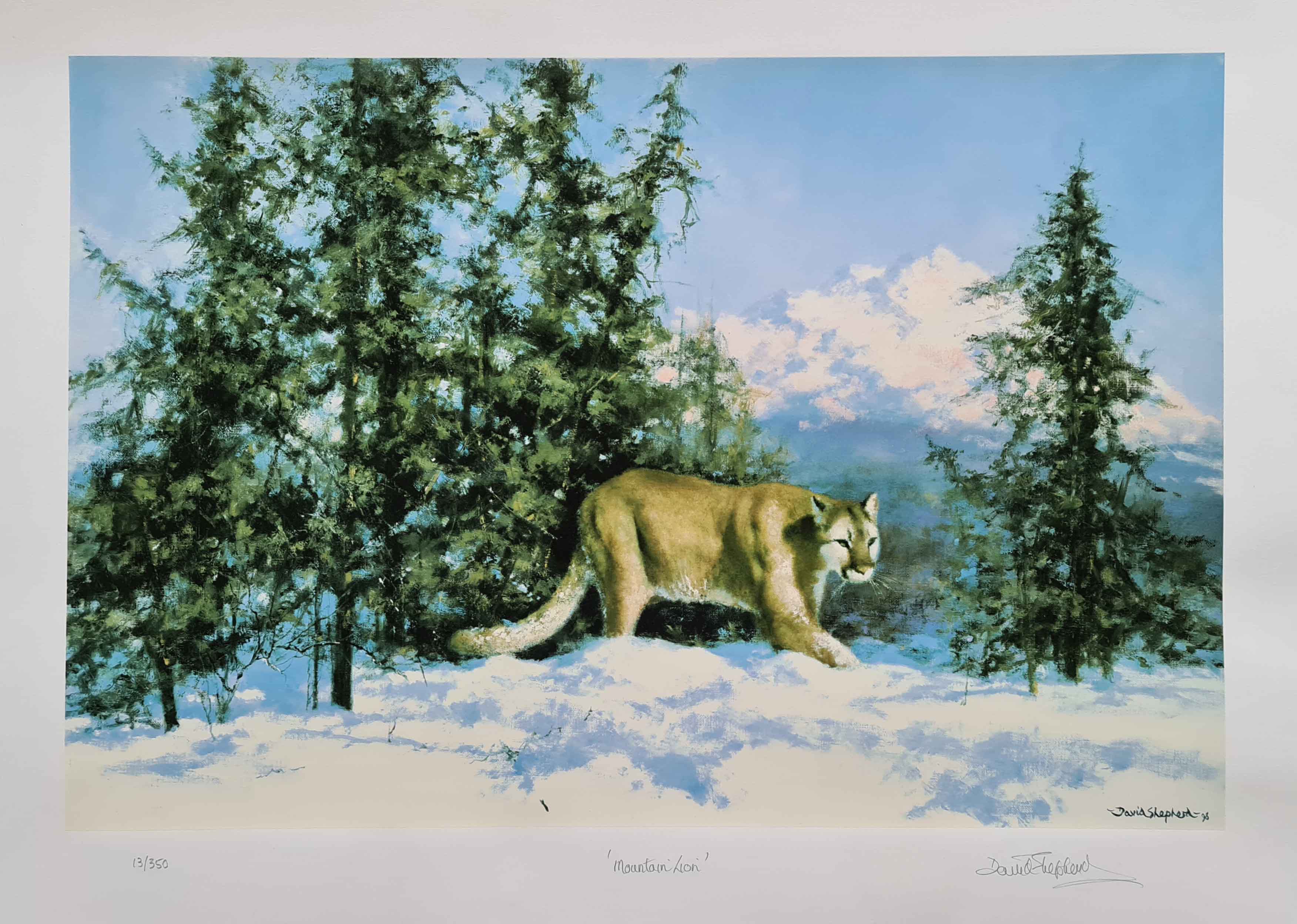 david shepherd mountain lion print