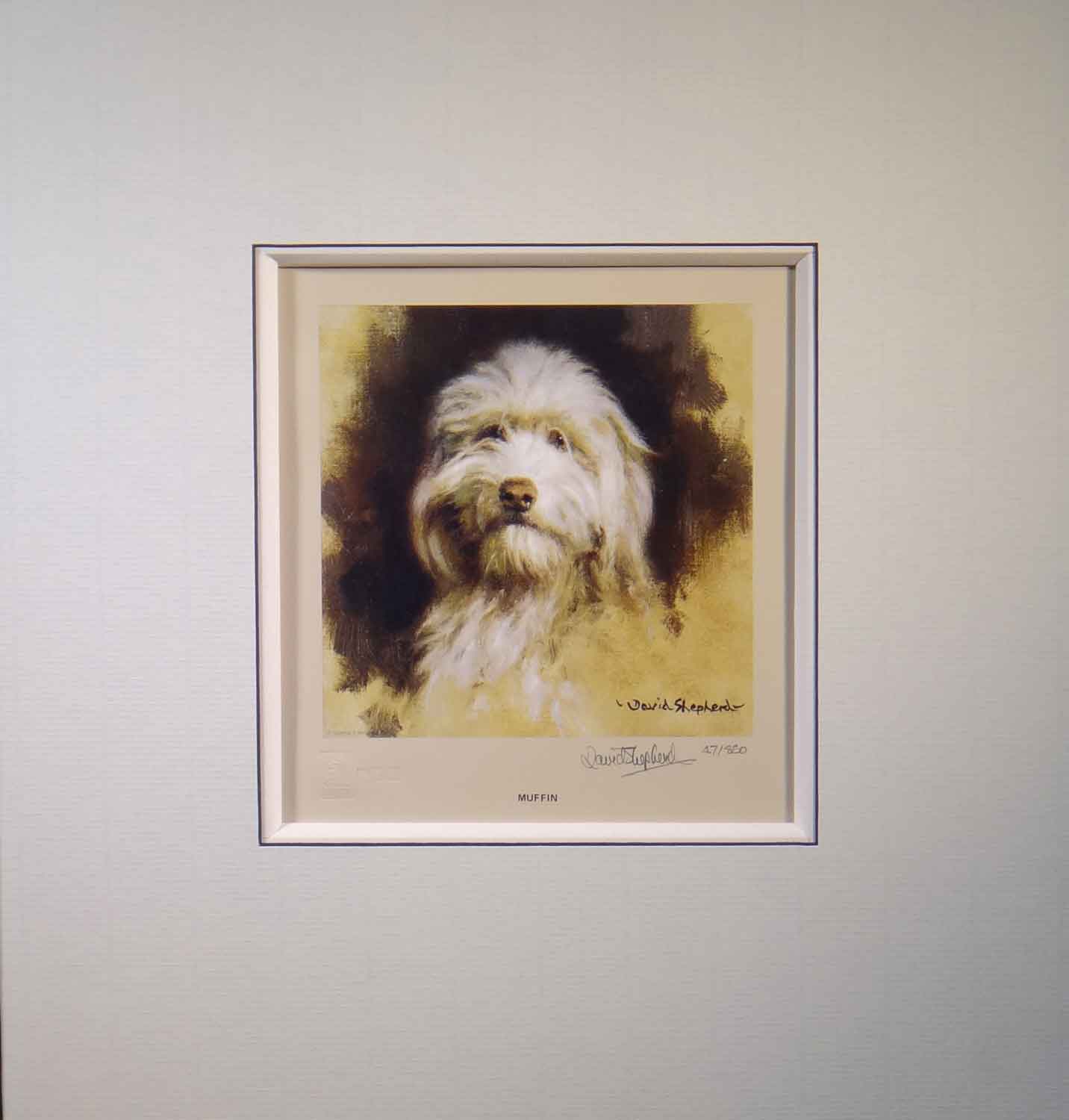 muffin, bearded collie, dog print