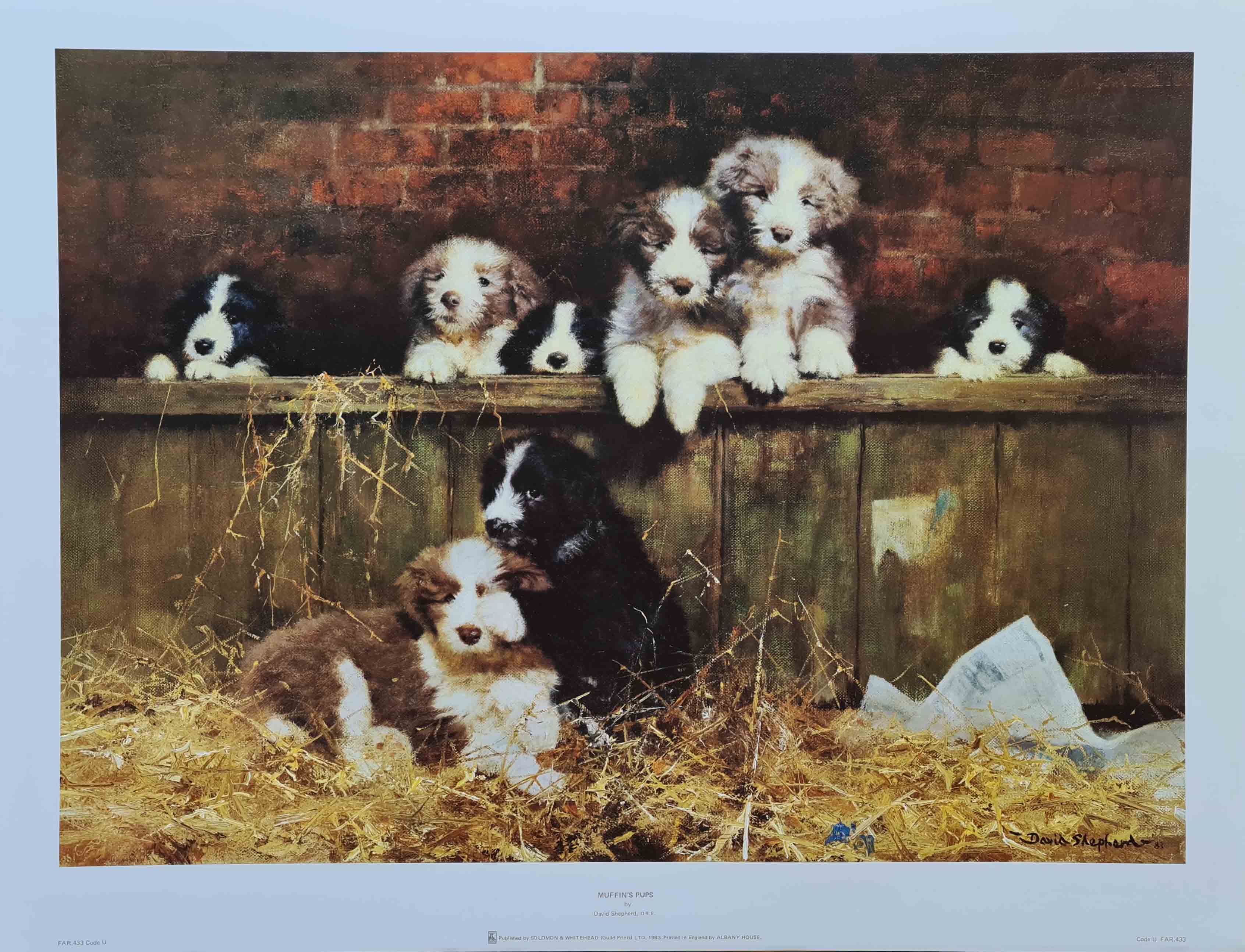 muffin's pups print