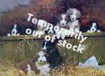 david shepherd muffin's pups dogs bearded collies