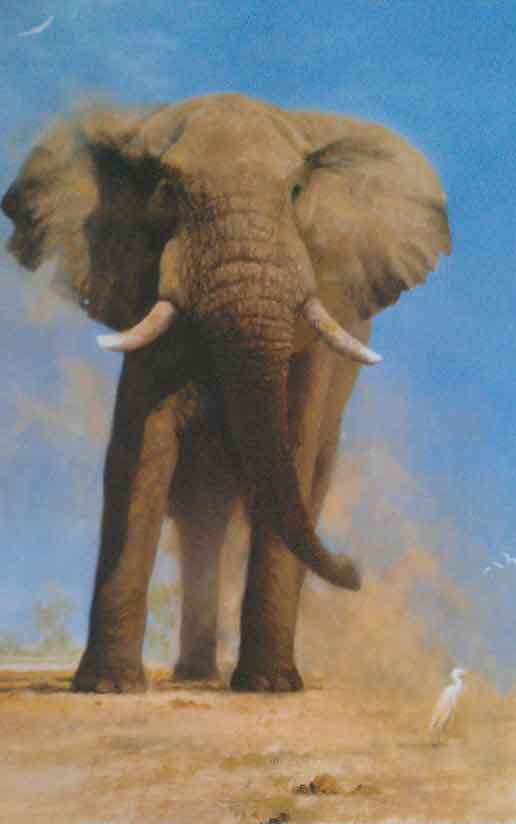 david shepherd my savuti friend print