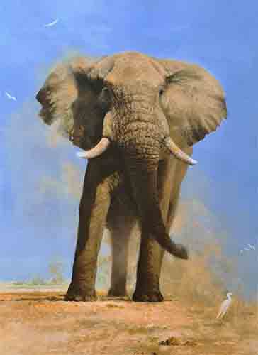 david shepherd My Savuti Friend silkscreen elephants print