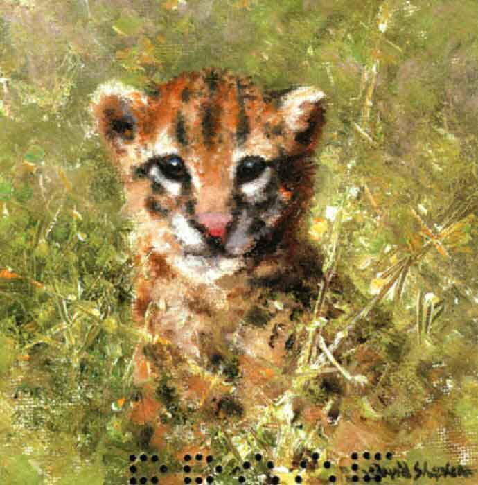 david shepherd, ocelot cub cameo