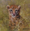 david shepherd ocelot cub cameo print