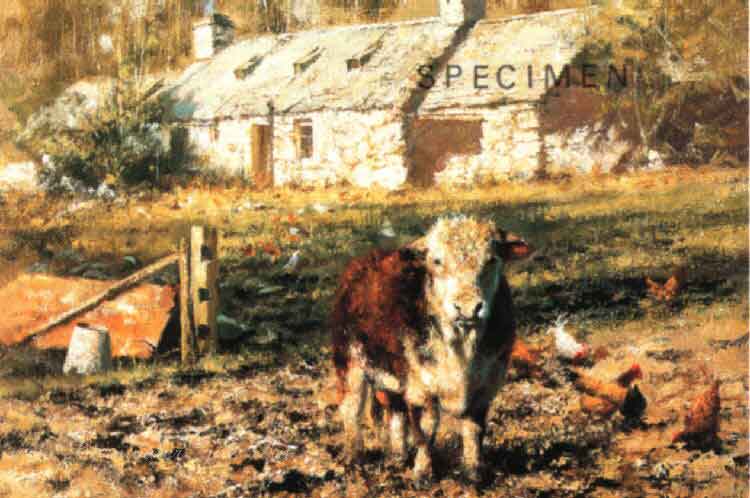 david shepherd  old ben's cottage, cows, cattle print