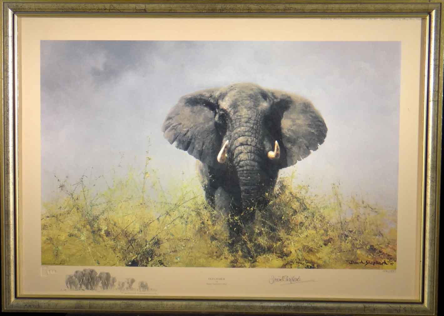 david shepherd, old charlie, signed limited edition print