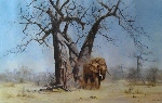 david shepherd old george elephants print