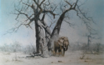 david shepherd old george elephant print