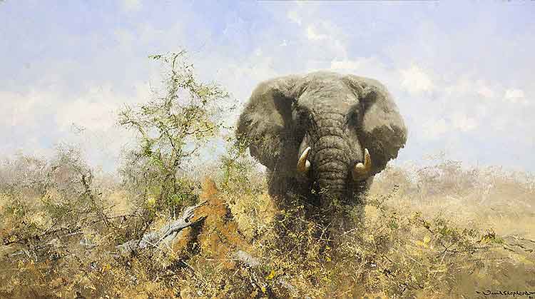 david shepherd, african elephant