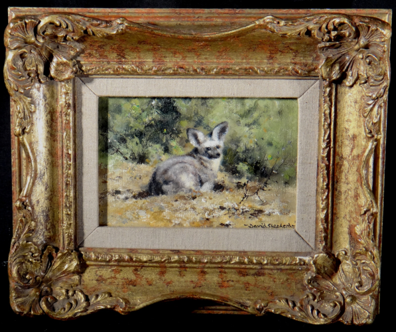 david shepherd original, bat eared fox, painting