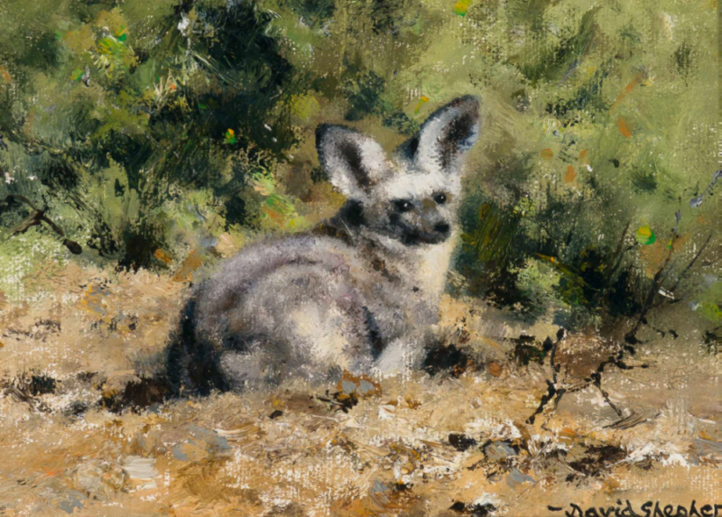david shepherd original, bat eared fox, painting david shepherd original, bat eared fox, painting