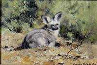 david shepherd, bat eared fox, painting david shepherd, painting, bat eared fox