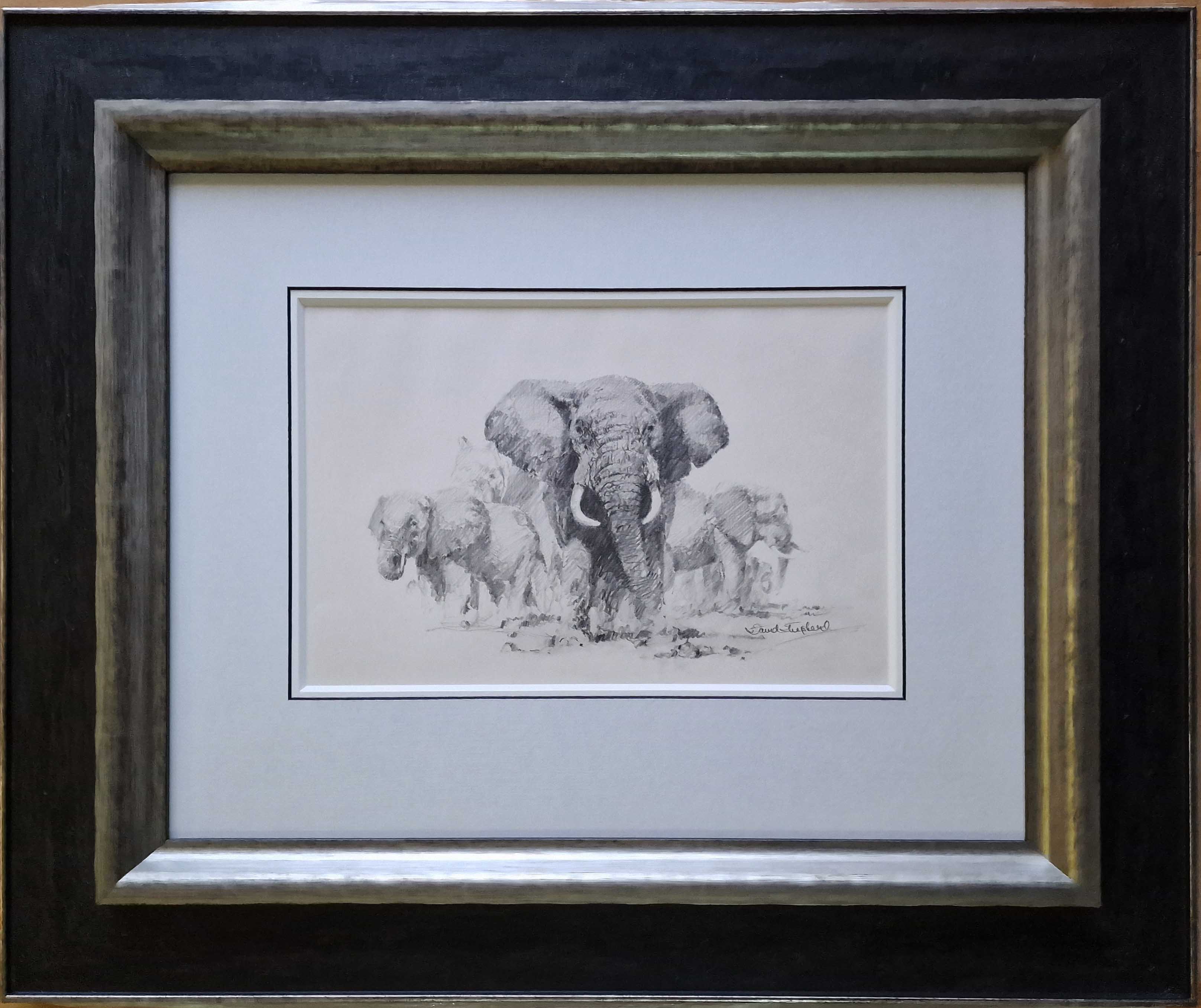 david shepherd original elephants drawing