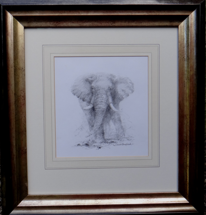 david shepherd, original elephant, drawing, david shepherd , original elephant, drawing