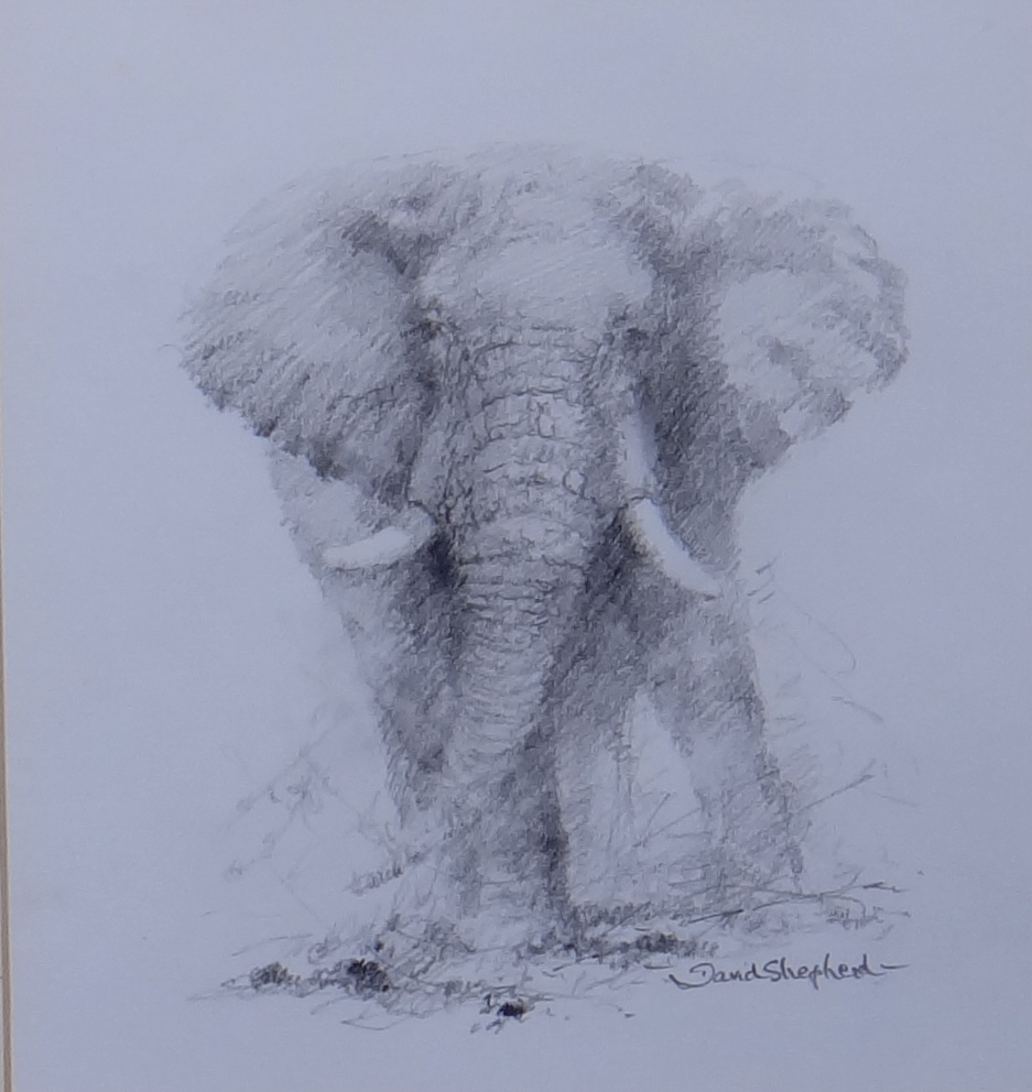 David Shepherd,original elephant 4
