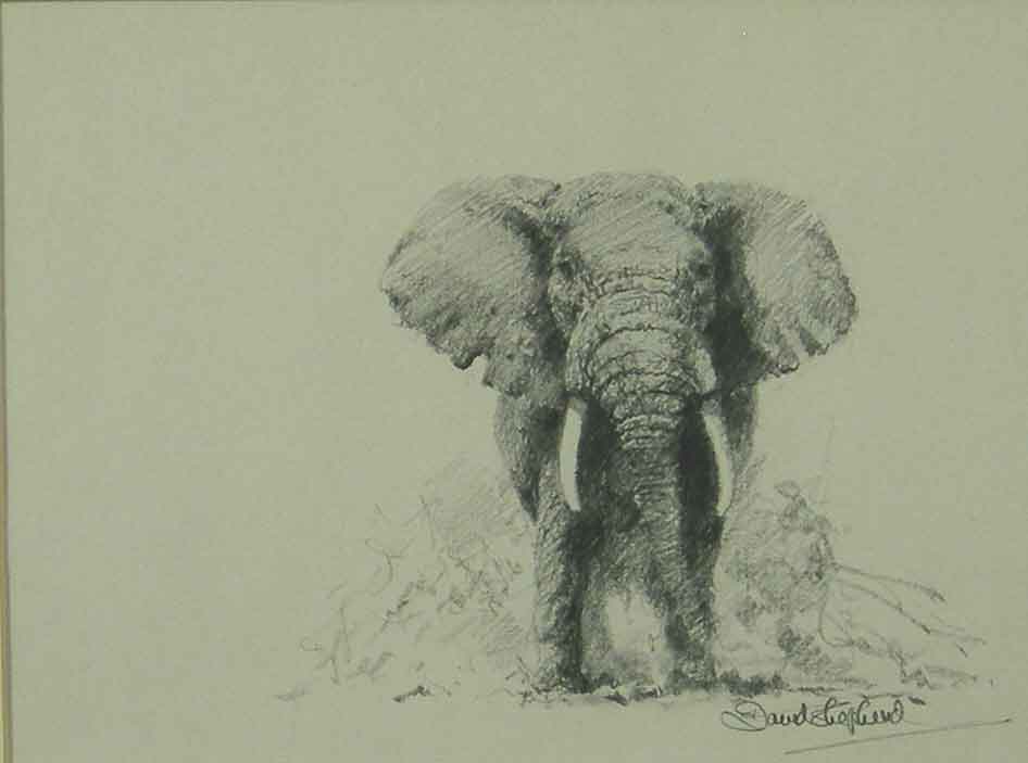 david shepherd elephant original drawing