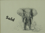 david shepherd elephant original drawing