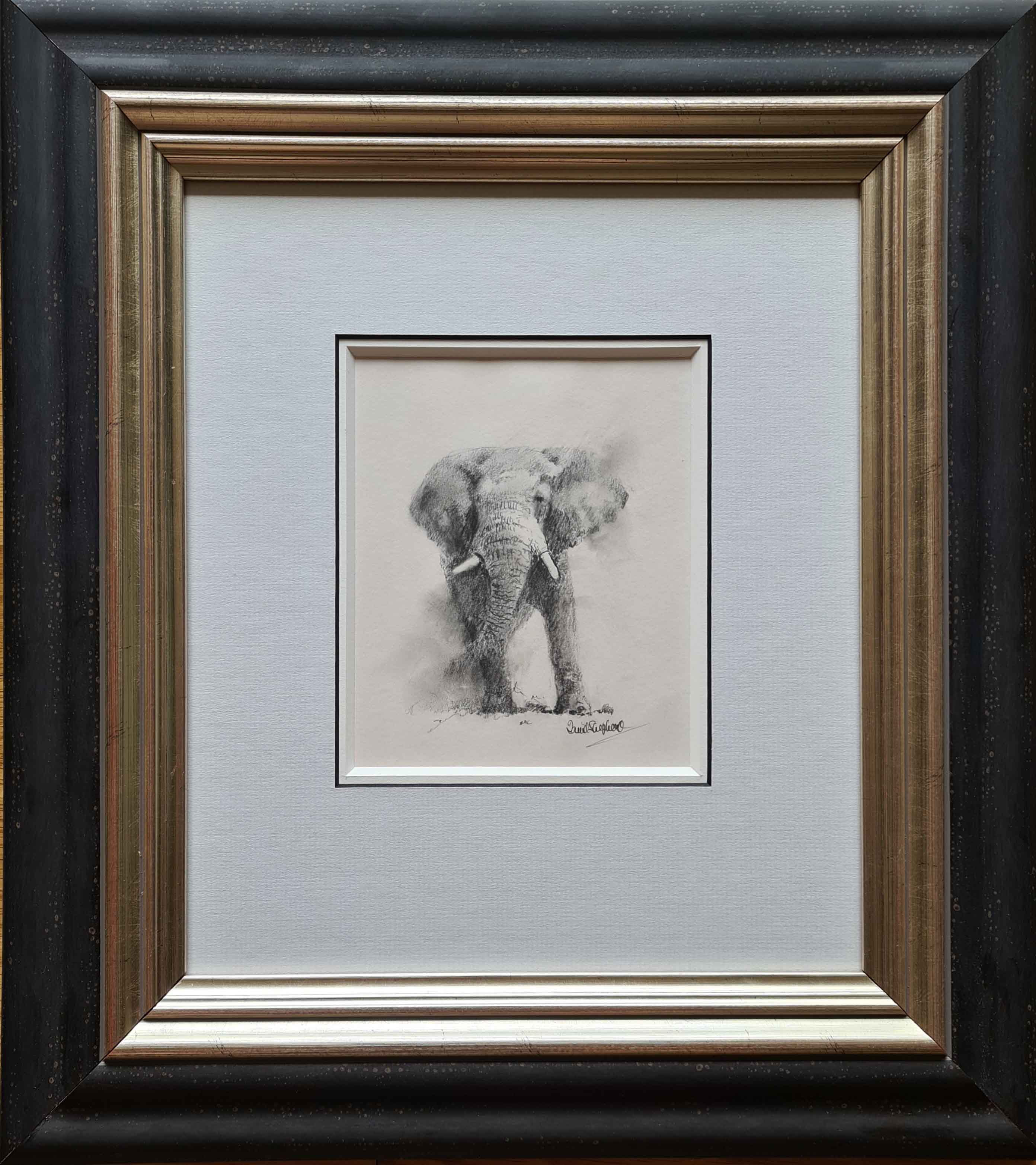 david shepherd original elephant drawing