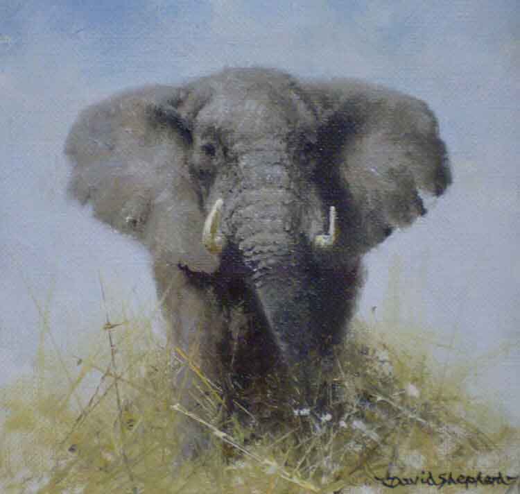 david shepherd oil painting