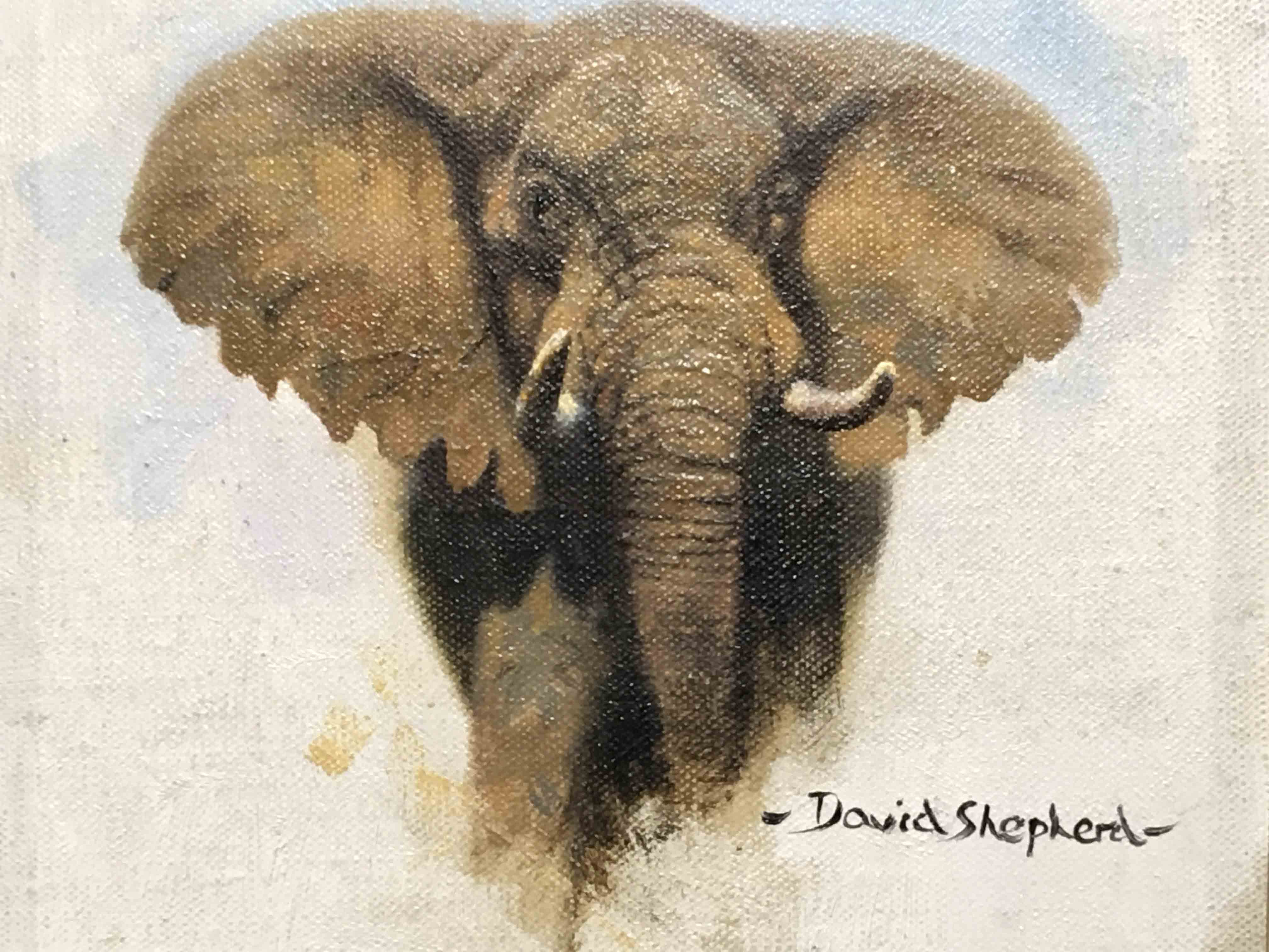 david shepherd original drawing, elephant10 david shepherd, original drawing, elephant10