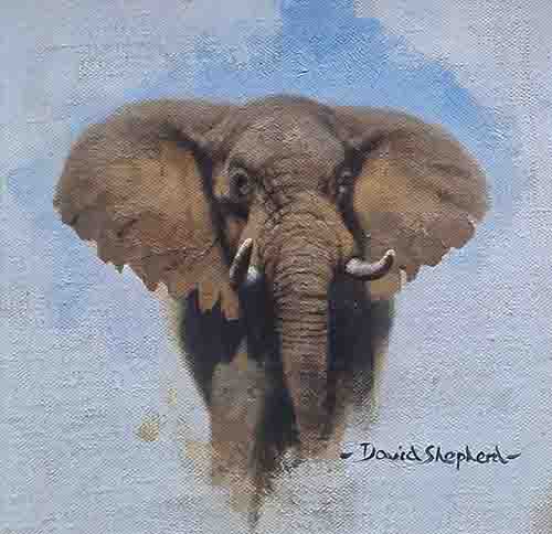 david shepherd, original drawing, elephant10