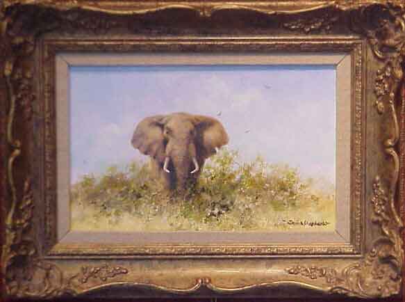 david shepherd elephant oil painting