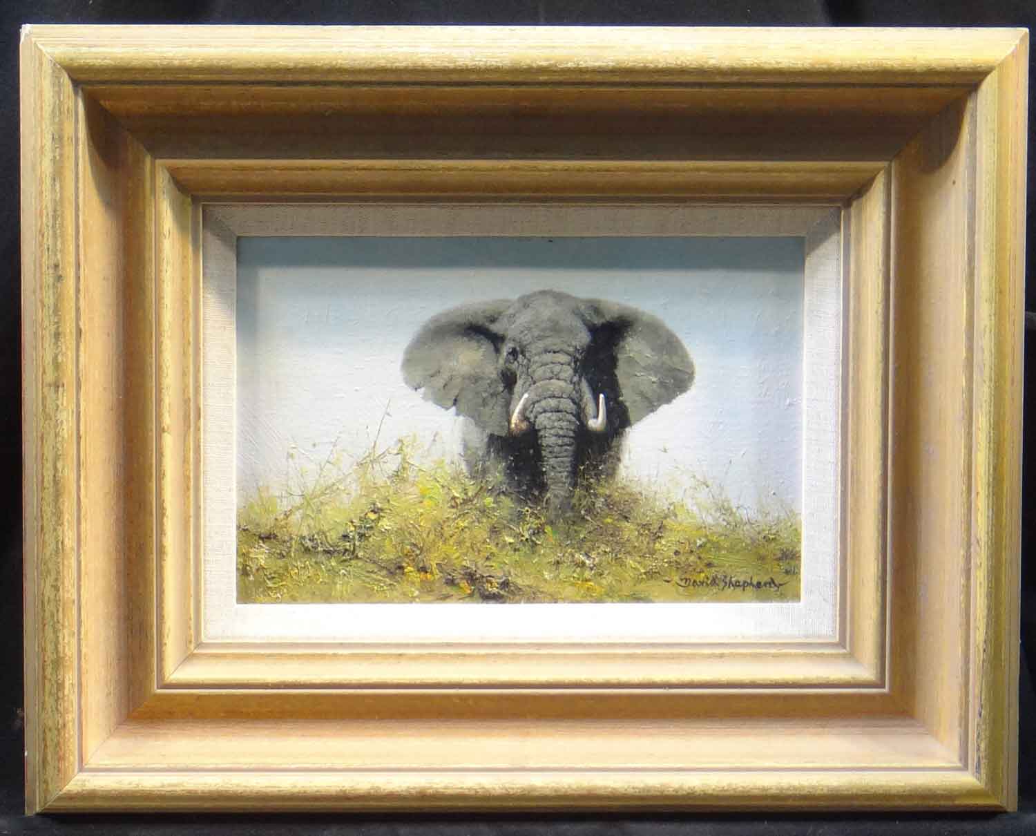 david shepherd original elephant