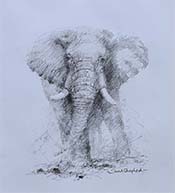 david shepherd original painting Elephant