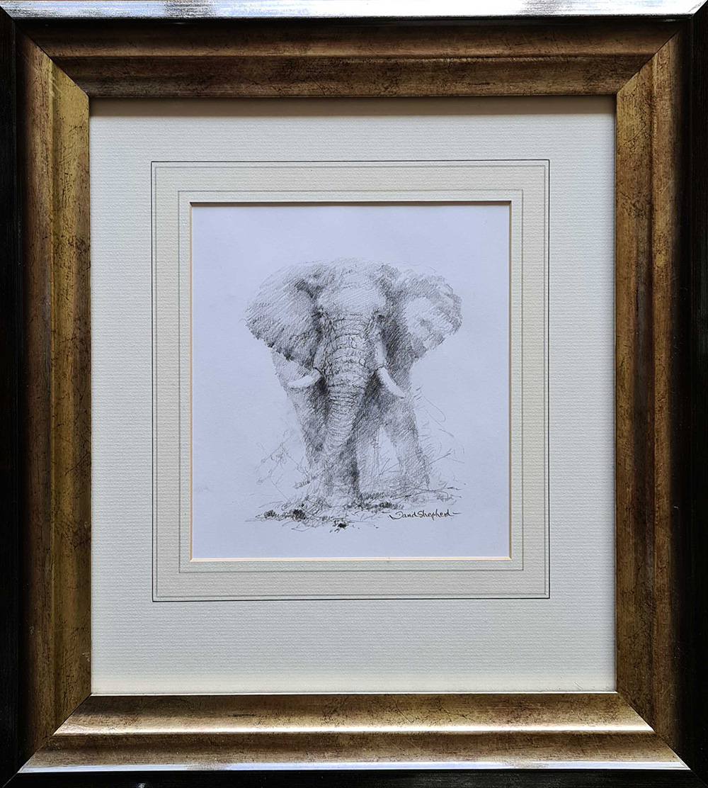 david shepherd , original elephant, drawing