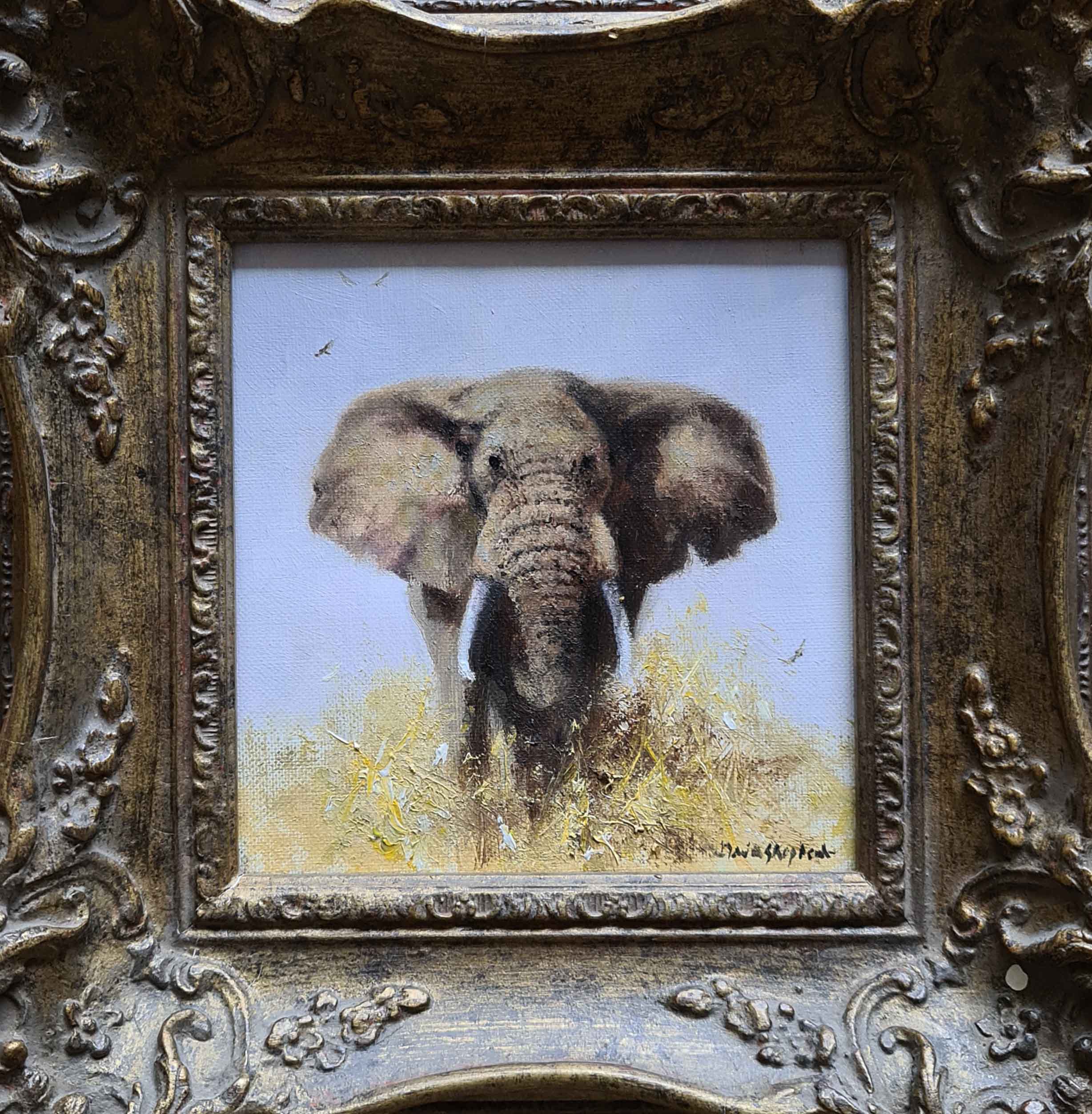 david shepherd, elephant, original oil painting on canvas,8