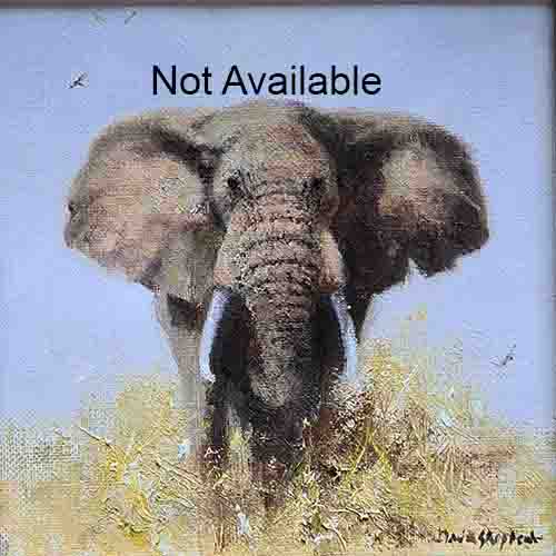 david shepherd, painting,elephant