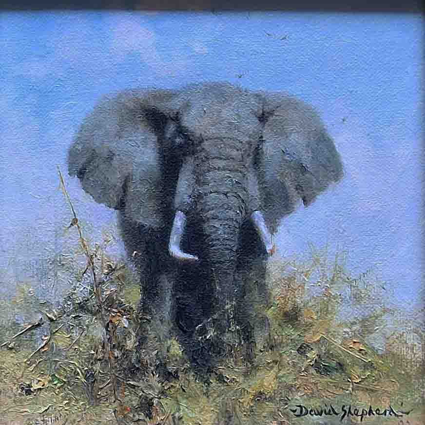 david shepherd, large, original painting, elephant9