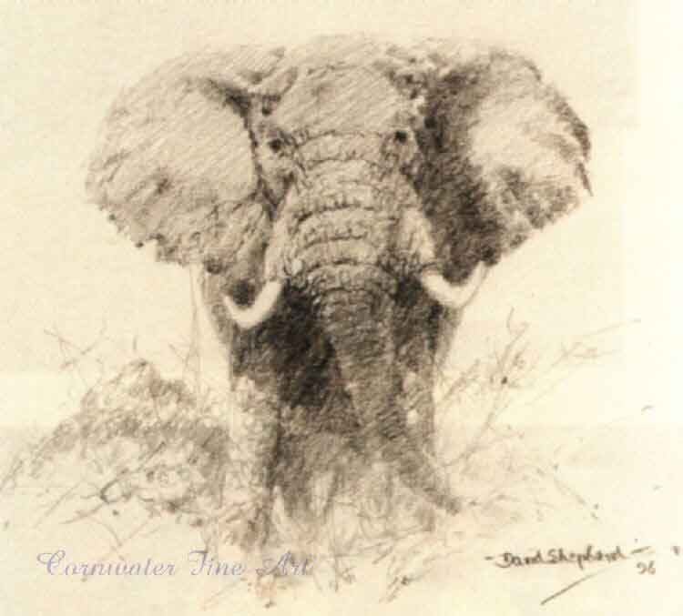 david shepherd elephant drawing painting