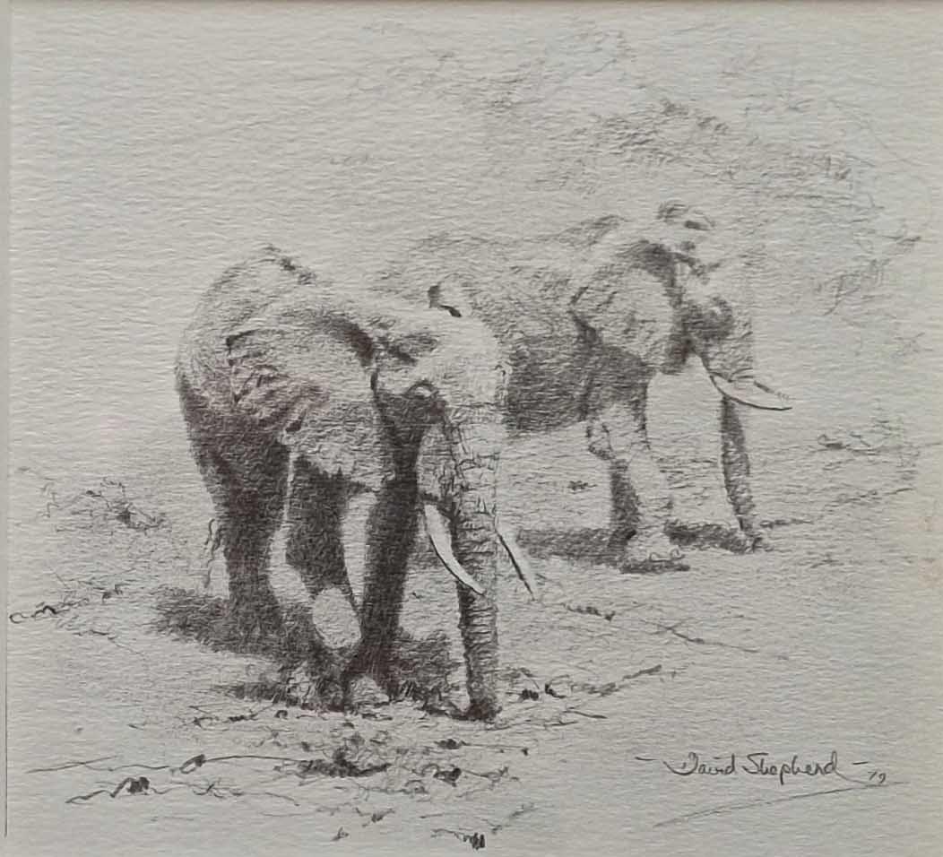 david shepherd, Elephants, drawing david shepherd, Elephants, drawing