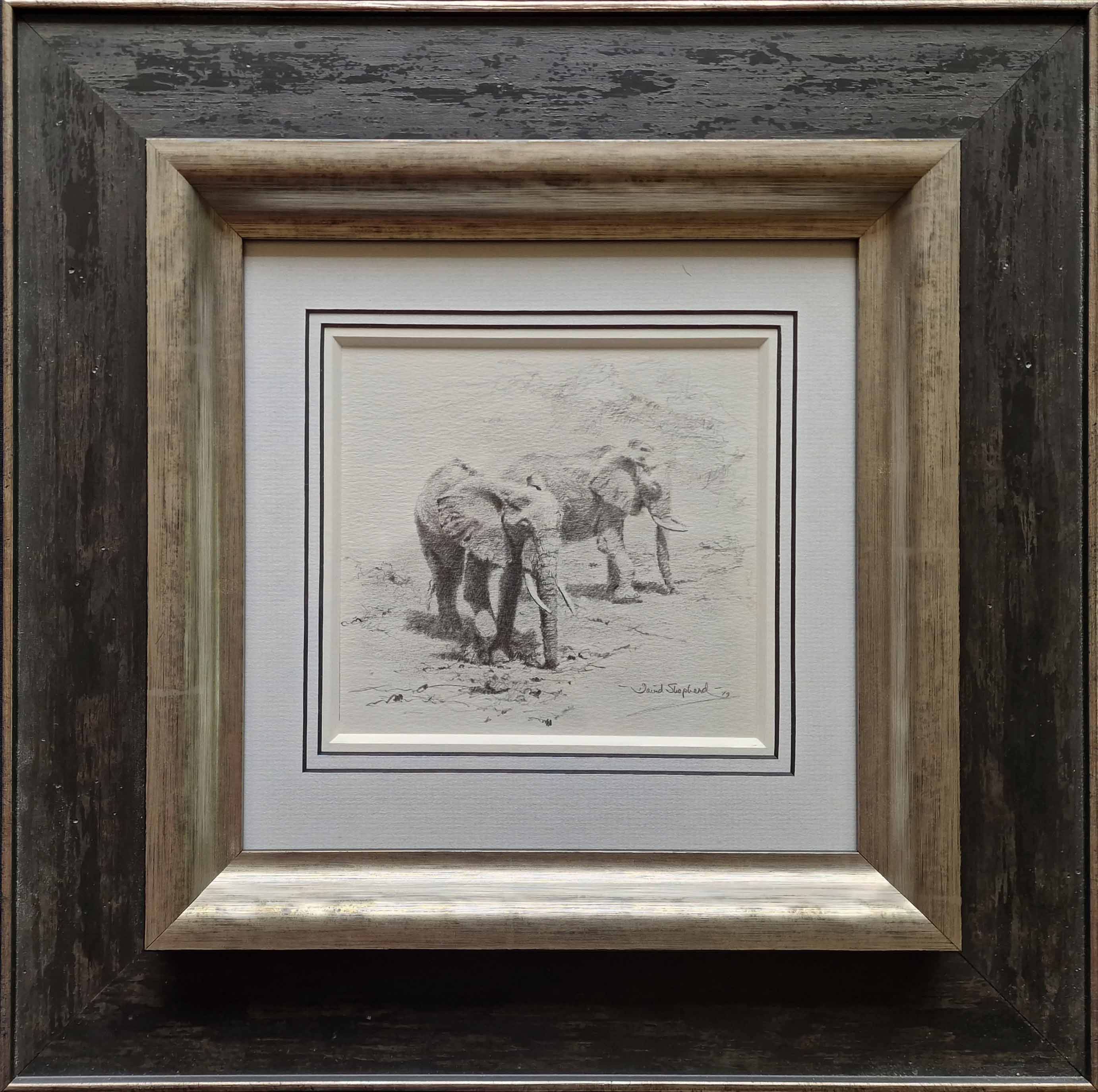 david shepherd original elephants drawing