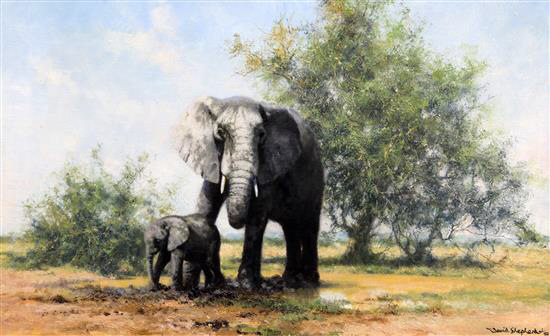 david shepherd elephants and acacia original sold