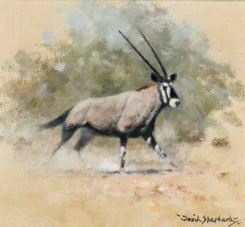 david shepherd original, gemsbok, painting david shepherd original, gemsbok, painting