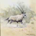 david shepherd, painting Gemsbok