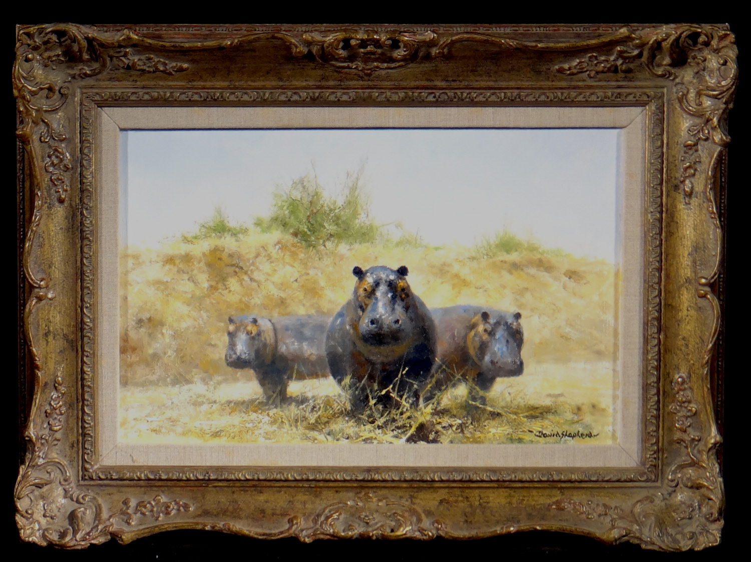 david shepherd original, Hippos