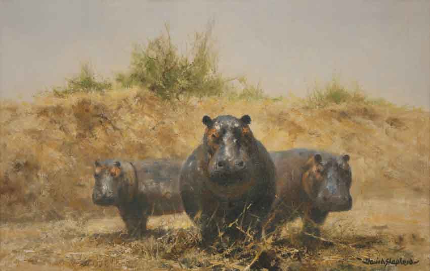 david shepherd, original paintings Hippos david shepherd, original painting Hippos