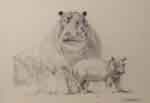 david shepherd, original drawing, hippos I