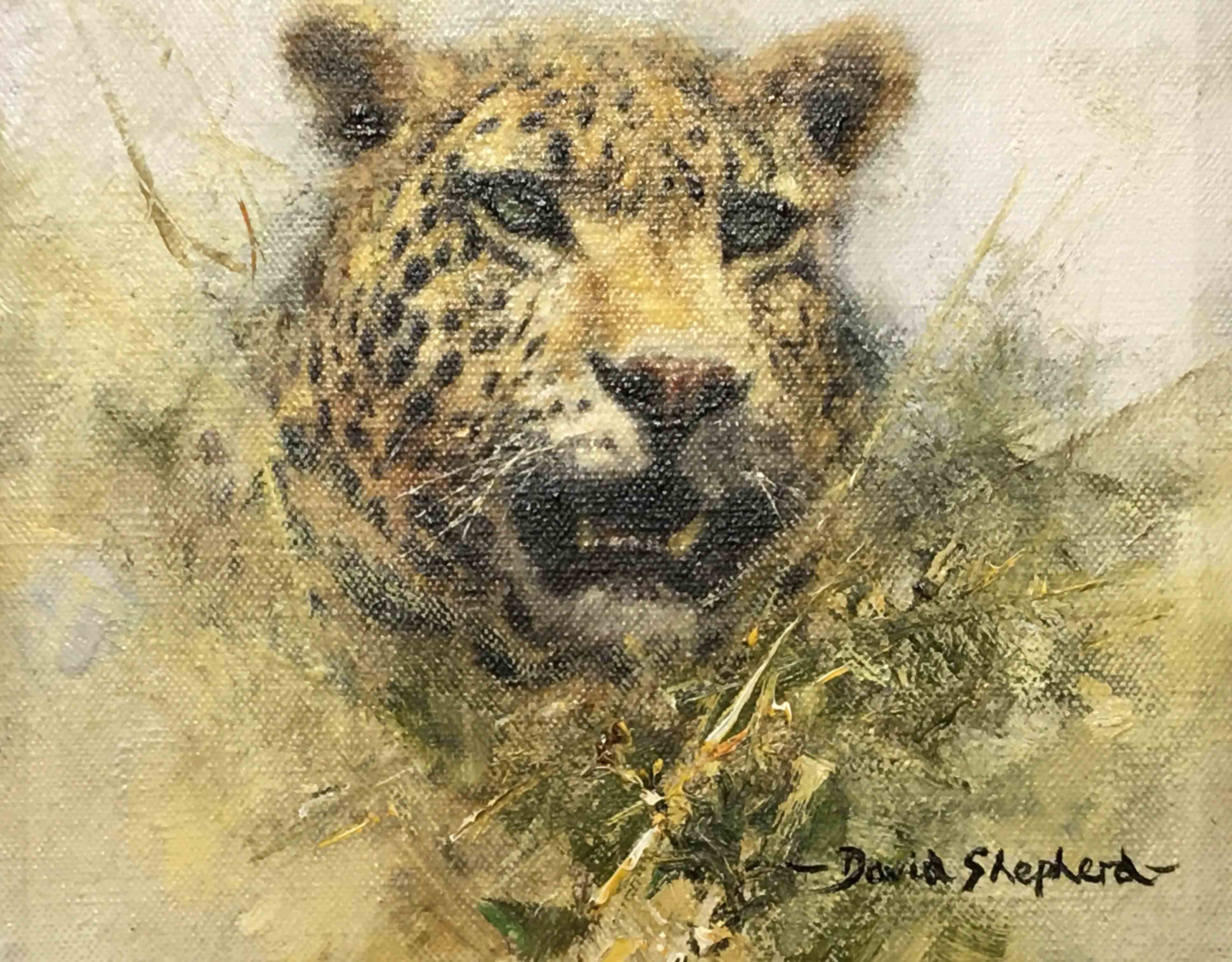 david shepherd original drawing, Leopard david shepherd, original drawing, Leopard